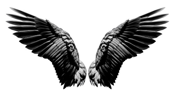 wings