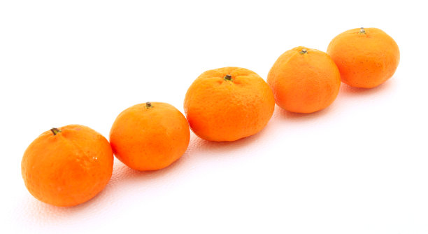新鲜脐橙橙子摄影
