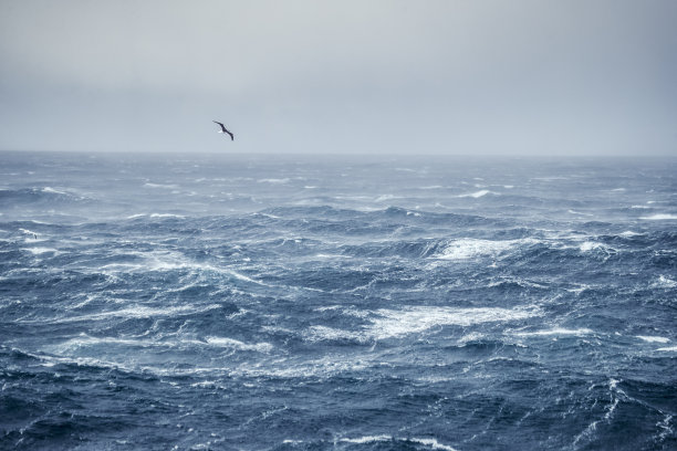tide