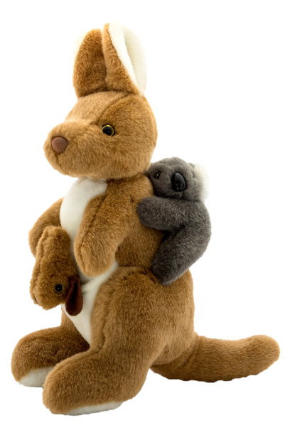 kangaroo