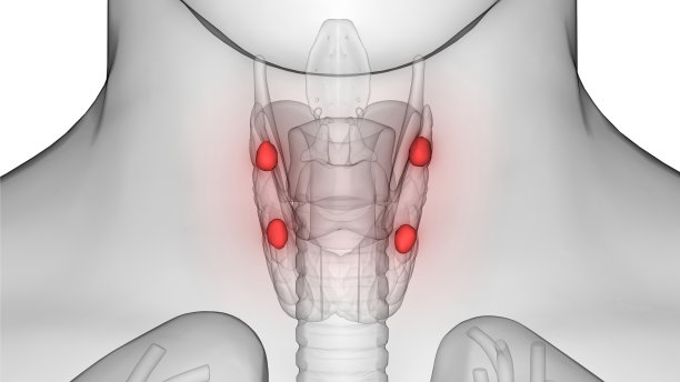 甲状腺