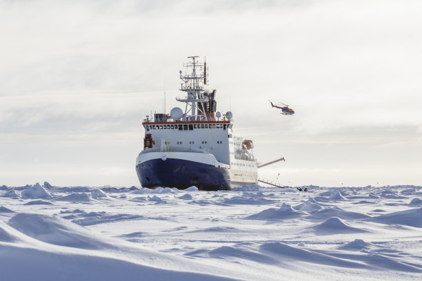 arctic
