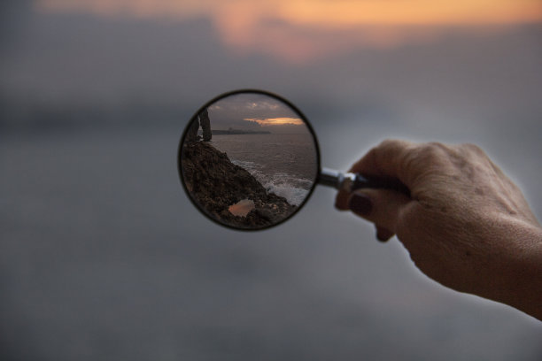 reflex