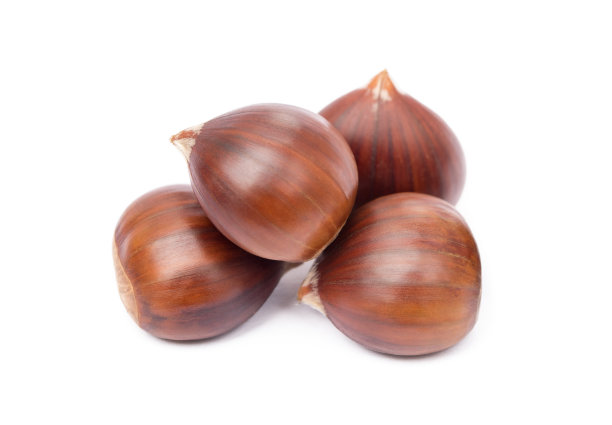 chestnut