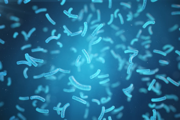 bacteria
