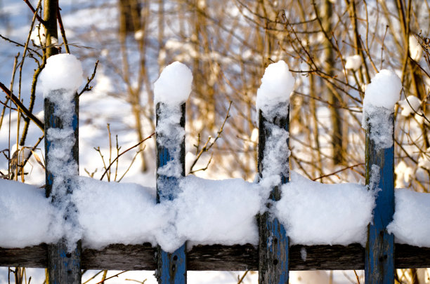 雪中栅栏