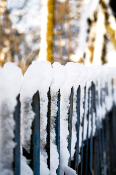 雪中栅栏