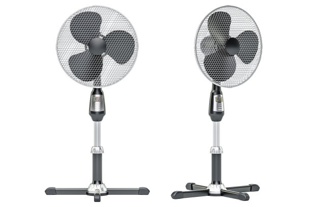 fan
