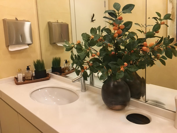 橙子厕所