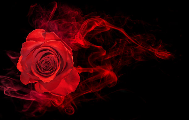 roses
