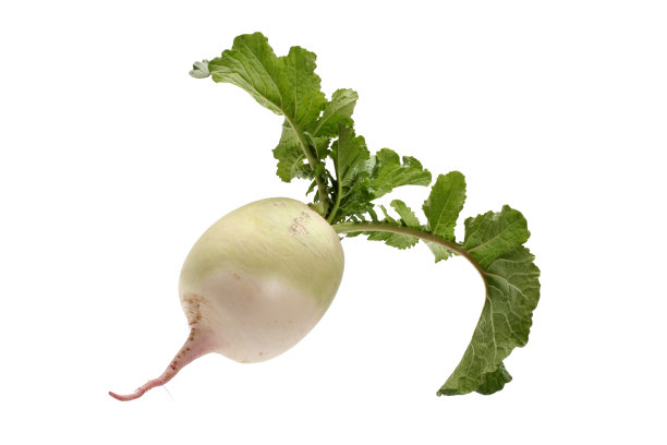 radishes