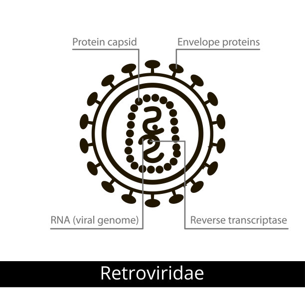 rna