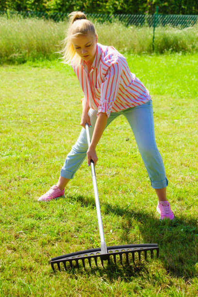 rake
