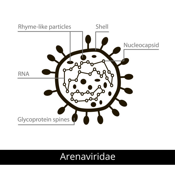 rna