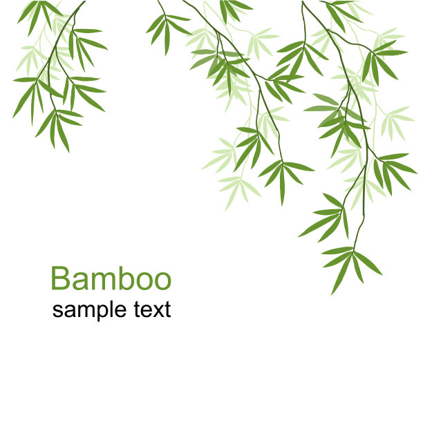 bamboo