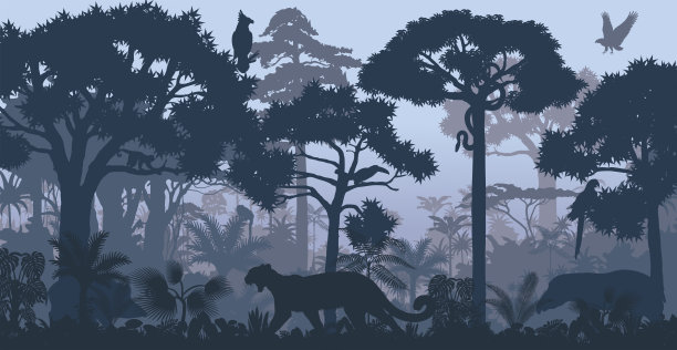 jungle