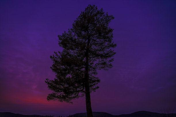 夕阳西下紫色背景