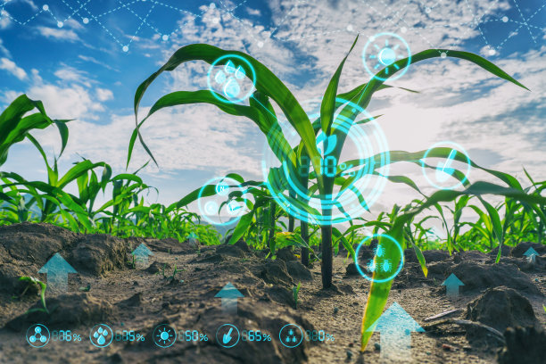 agricultural