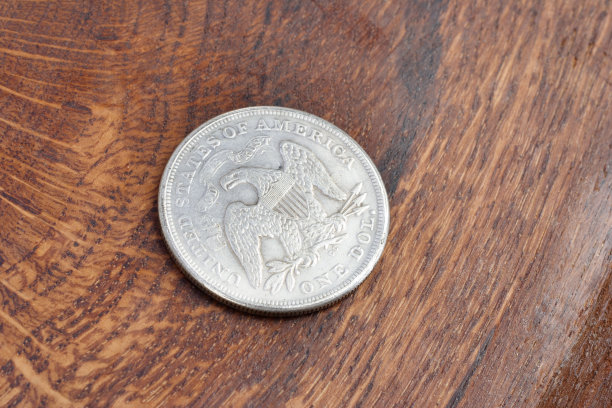 1美元硬币