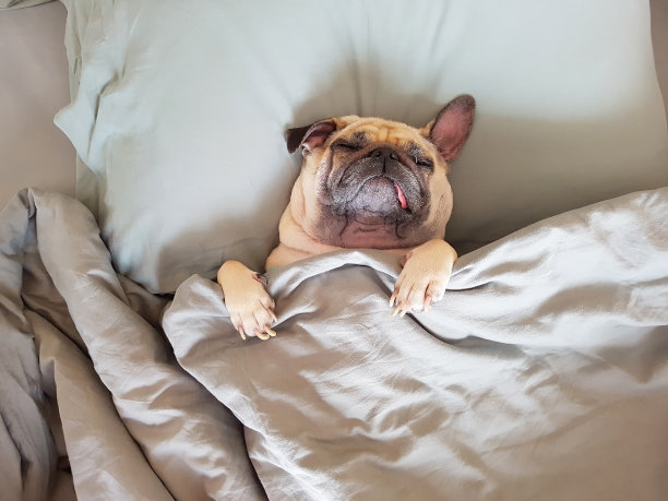 sunday