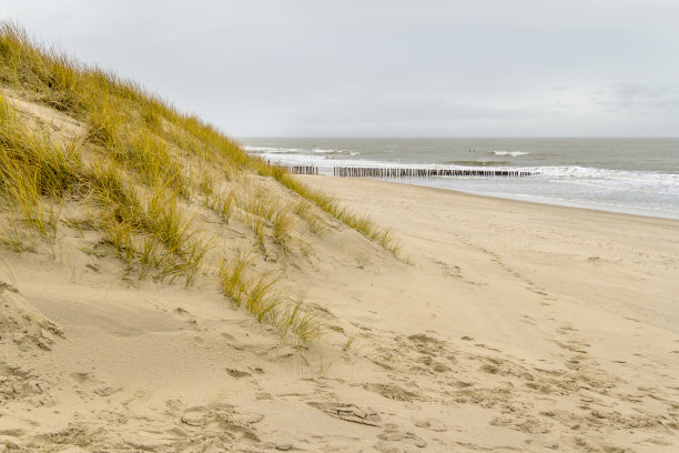 groyne