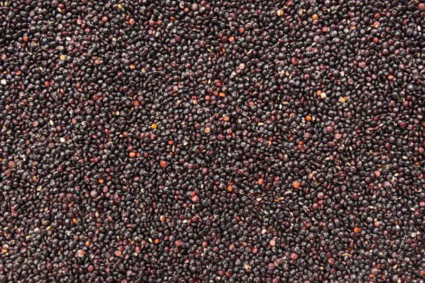 quinoa