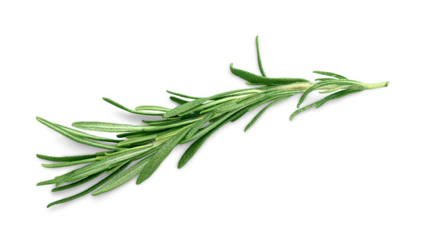 rosemary