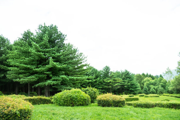 全国生态日背景