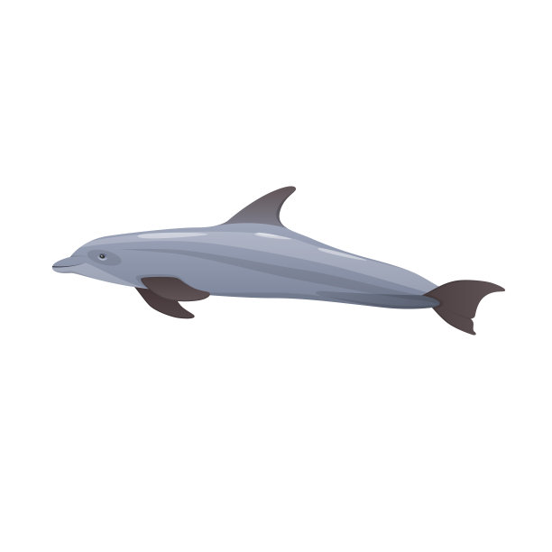海豚吉祥物