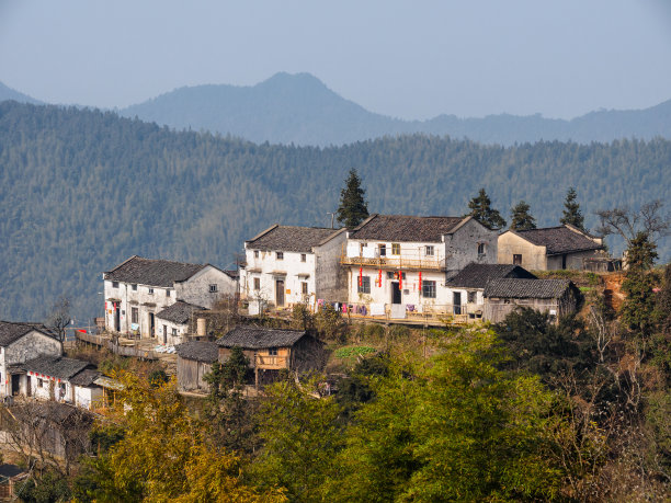 黄山村