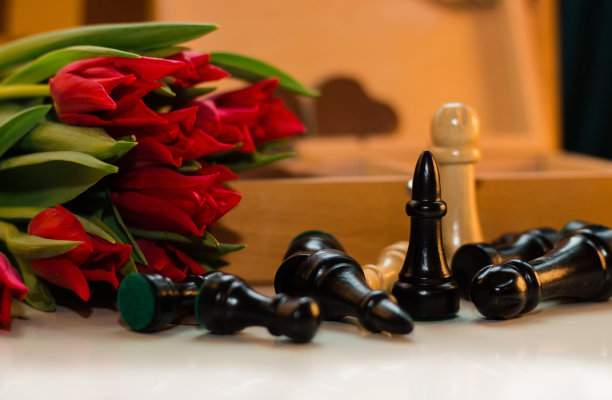 国际象棋,郁金香,情人节