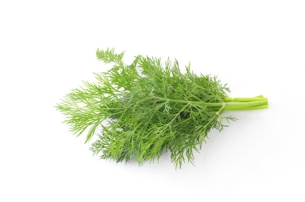 dill