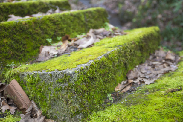 steps