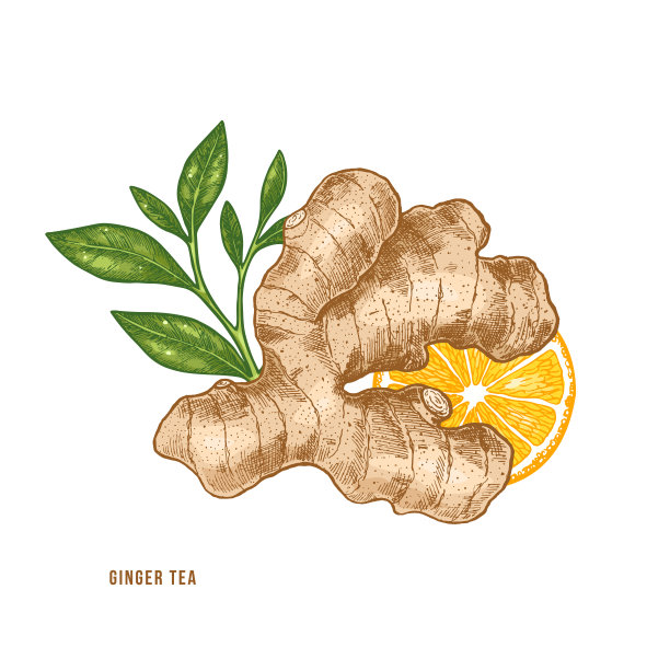ginger
