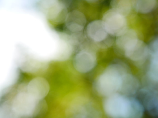 全国生态日背景