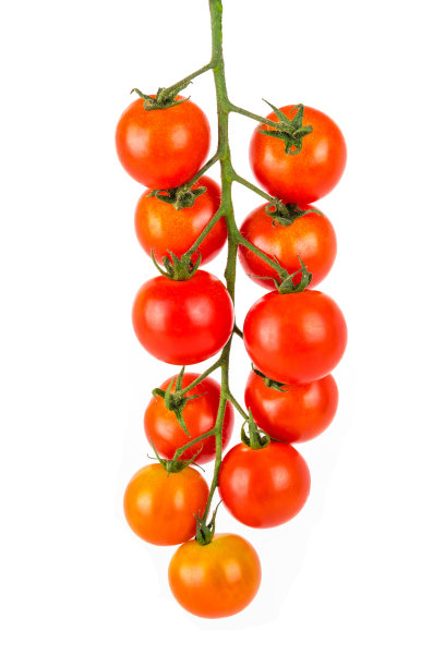 一串小番茄