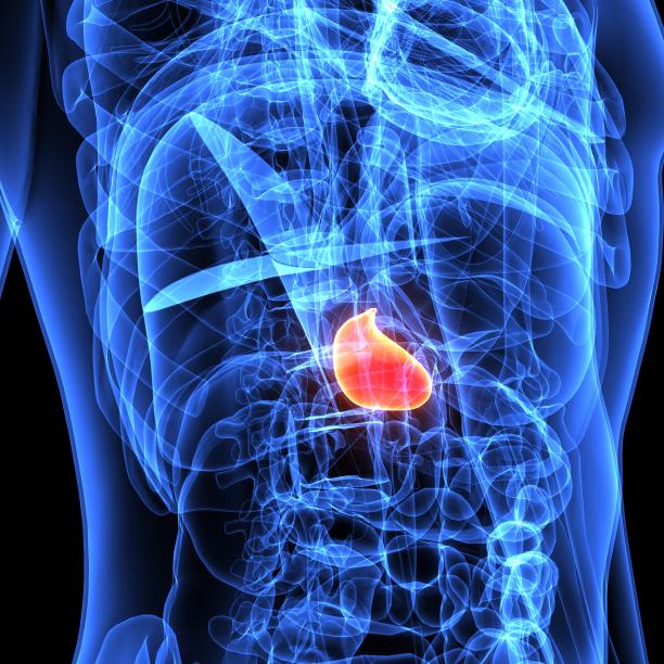 胆汁图片素材 胆汁设计素材 胆汁摄影作品 胆汁源文件下载 胆汁图片素材下载 胆汁背景素材 胆汁模板下载 搜索中心