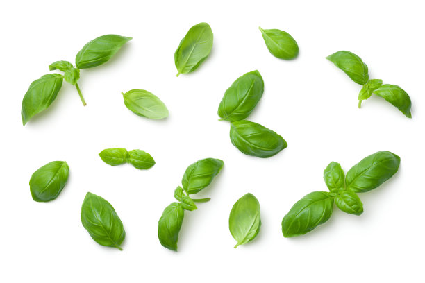 basil
