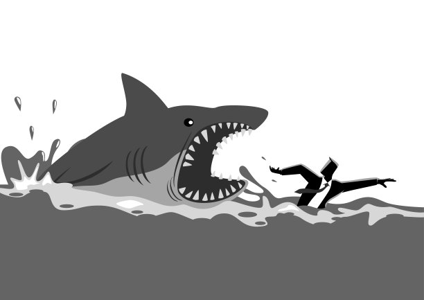 shark