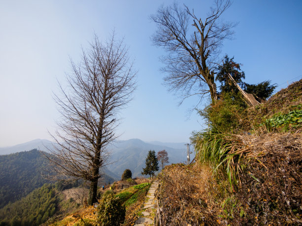 黄山村