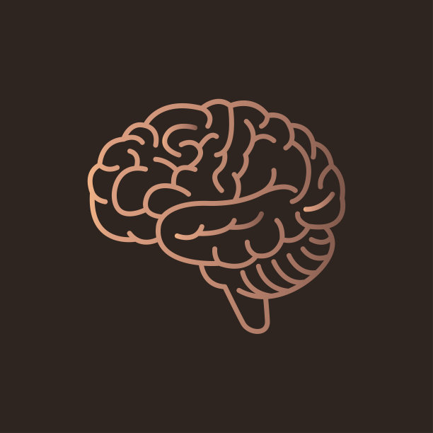 brain