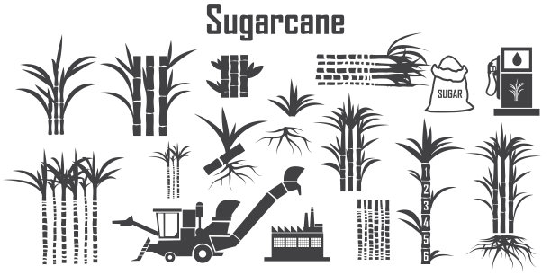 sugar