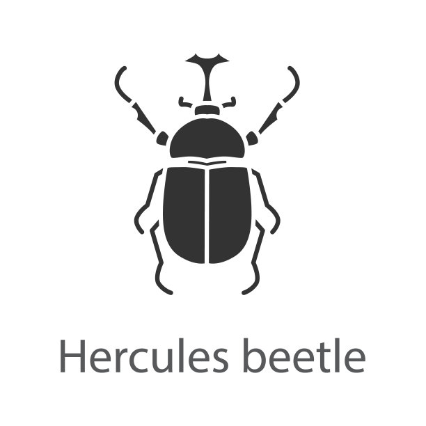 beetles
