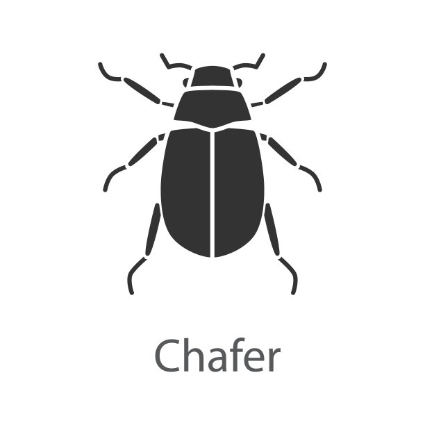 beetles