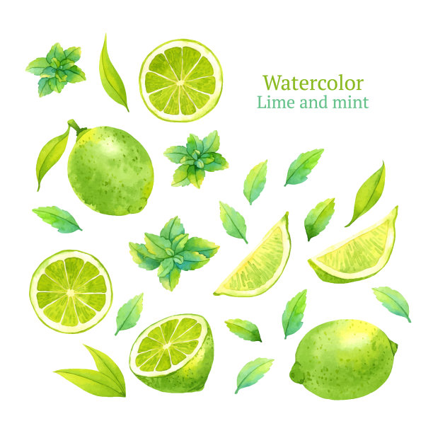 illustrations