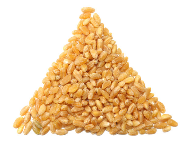 荞麦和玉米地