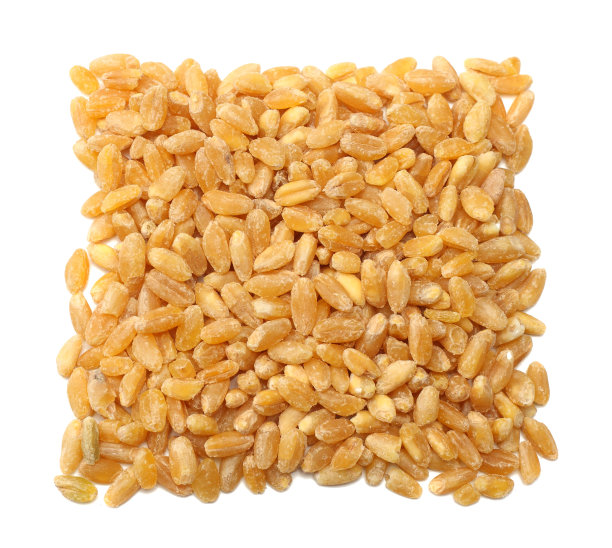 荞麦和玉米地