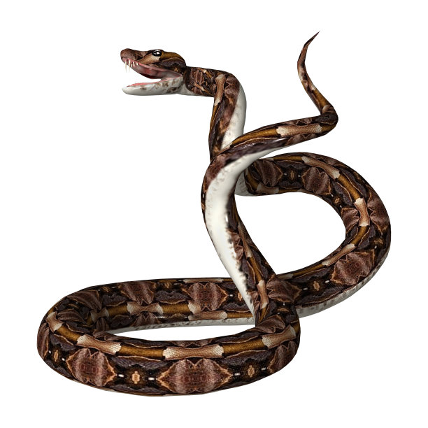 atheris
