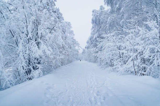 行走在雪地中的人