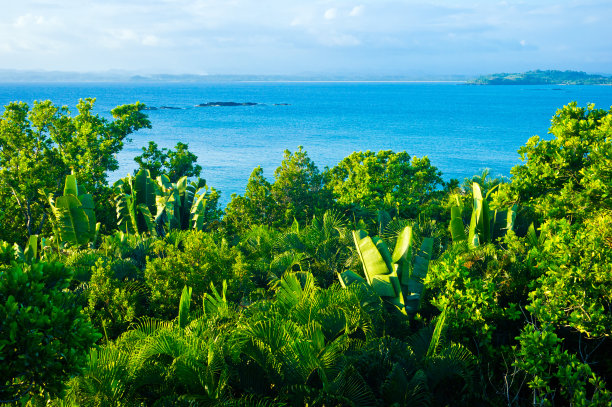 madagascar